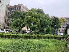 西藏北路·灵艺大厦·3室·2厅