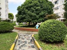 产权清晰无抵押新上房源