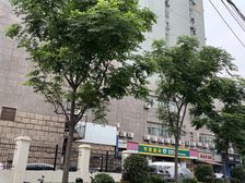 开放式厨房,大开间,精装修,诚意出售