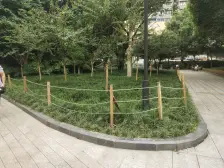 小龙坎 华天俊秀一房