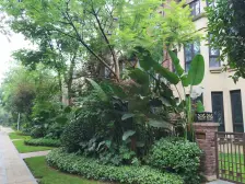 融侨 金辉城花样派三房150万