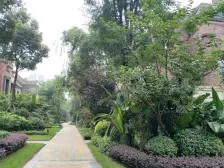 融侨 金辉城花样派三房170万