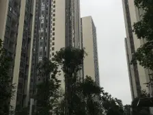 办公装修,近轻轨,户型方正,采光好通风好