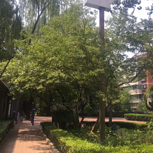 整租·东直门·东直门北大街·2室