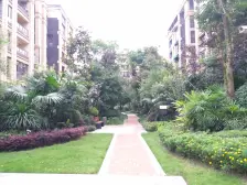 洋墅带屋顶花园 适当使用面积大 户型结构好