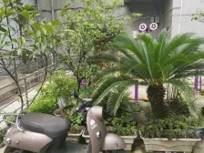 总价低、单价低,面积大、全明户型,看房方便,诚意卖