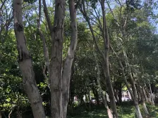 居家装修,闹中取静,钥匙房,顶楼房,房型正气