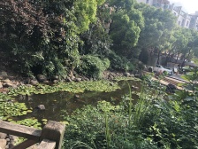 标准两层复式 视野开阔小区中间位置 带露台得房率高