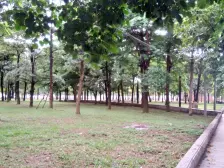 港口国际,3房毛坯,看房江景,不欠款诚心出售