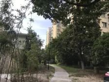 碧林湾(公寓) 3室2厅 南