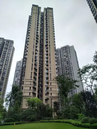 鲁能九龙花园东郡