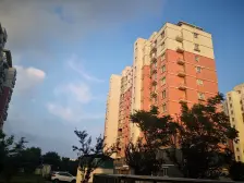 张江南 精装 小两房 房东诚心出售