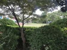 七宝·万科城市花园二期·4室·2厅