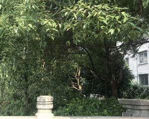 风和苑自住精装好楼层光照充足
