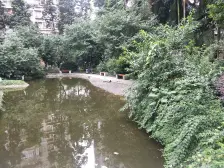 观音桥 九街 九鼎花园 正规四房带书房,看房方便,