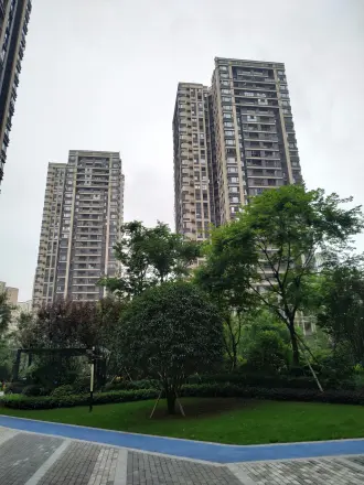 鲁能九龙花园东郡