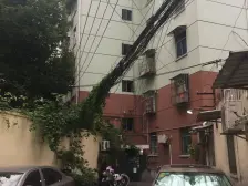 新渔东路霞满天,欢迎来到您温馨的家园