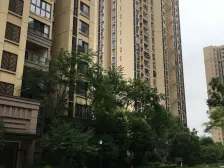 户型方正 采光好 朝南 看中庭 精装修 拎包入住