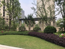 近地铁 电梯房 通风好,采光好,必看好房