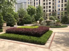 四房2厅2卫大平层,楼栋位置佳,朝北可看陆家嘴三件套