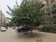中山西路上庄,多层中间楼层,地铁一号线,省税诚心售
