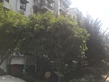 滨江花园西区6室1厅南