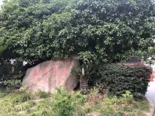 近地铁,产权清晰 刚需上车 中间楼层,必看好房