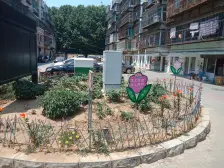 大李家兴和园两室一厅61平采光好