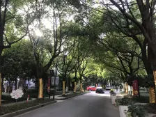 新上20年次新房,开发商统一装修,采光好,诚意出售