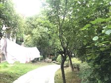 新上一楼带地下室,实用面积大,价格好谈