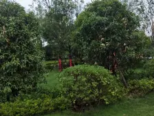 郑东新区高品质楼盘 人车分离 精装修交付