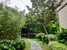 品质小区,环境优美,诚意出售,精装好房