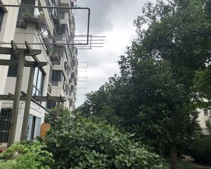 全南户型,大开间,品质小区,不靠近马路