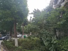 优质楼层 诚意出售 一梯两户 精装 非顶楼