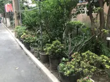 近地铁,刚需上车 无抵押 产权清晰 必看好房