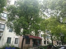 锦绣汇丽苑3室2厅南北