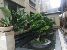 业主诚心出售 银滩大道 安建假日海岸大一房