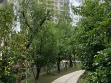 King Building、房东诚售、保养佳可拎包入住、双车位