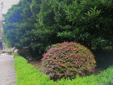 世博源地铁口的电梯房,南北通边套1居,视野景观俱佳