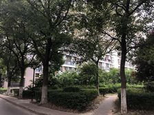 美丽星城经典一房,户型方正,采光号