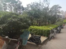 2008年小区 朝南向标准两室一厅 全明户型 优胜路 期中