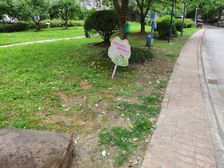 价格好谈,环境优美,交通便利,配套完善