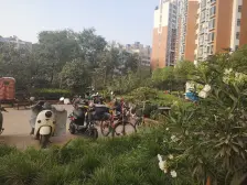 精装 双气总高11层电梯洋房公摊小