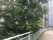 跃进村 渝新花园二房50万