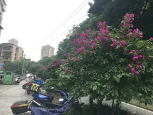 精装两房 看房方便 户型方正 拎包入住 中间楼层