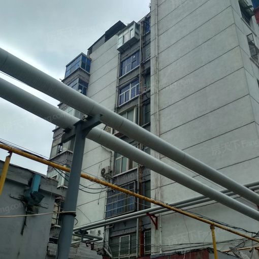 中州东路10号楼1室1厅1卫南朝向700.00元/月出租