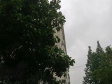 有院子+独栋+梯两户+客厅带窗+全明户型+近地铁