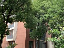 主卧朝南,环境优美,交通便利,居家装修