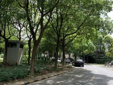 主卧朝南,环境优美,居家装修,价格好谈