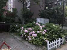 中间楼层 电梯房,无抵押 新上房源